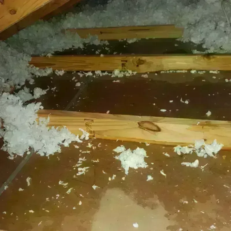 Attic Water Damage in Ganado, TX