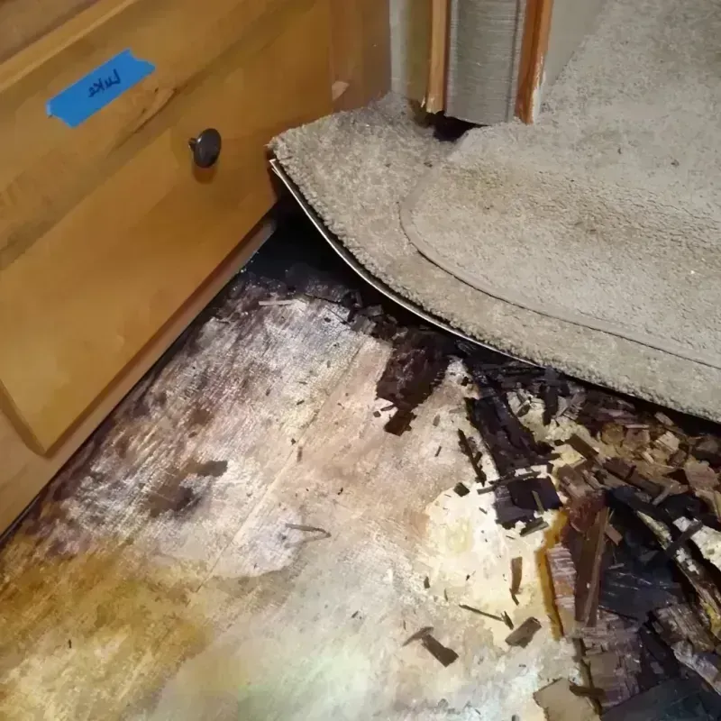 Wood Floor Water Damage in Ganado, TX